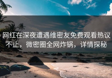 网红在深夜遭遇维密友免费观看热议不止，微密圈全网炸锅，详情探秘