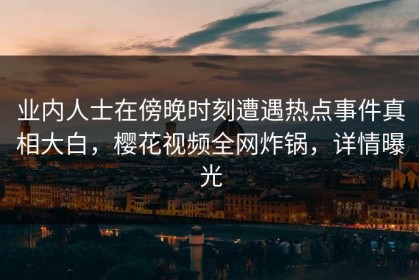 业内人士在傍晚时刻遭遇热点事件真相大白，樱花视频全网炸锅，详情曝光