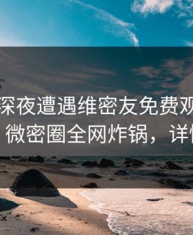 网红在深夜遭遇维密友免费观看热议不止，微密圈全网炸锅，详情探秘