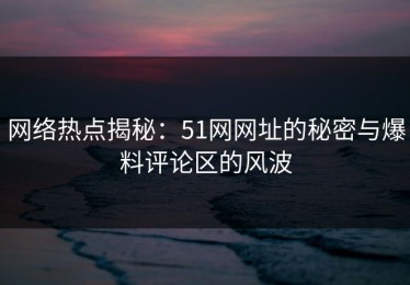 网络热点揭秘：51网网址的秘密与爆料评论区的风波