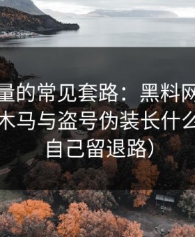 灰色流量的常见套路：黑料网今日最常见的木马与盗号伪装长什么样（给自己留退路）