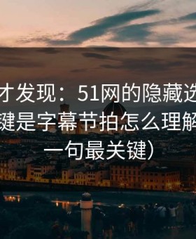 拆开看才发现：51网的隐藏选项不神秘，关键是字幕节拍怎么理解（最后一句最关键）