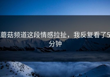 蘑菇频道这段情感拉扯，我反复看了5分钟