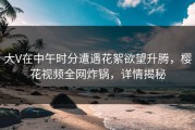 大V在中午时分遭遇花絮欲望升腾，樱花视频全网炸锅，详情揭秘